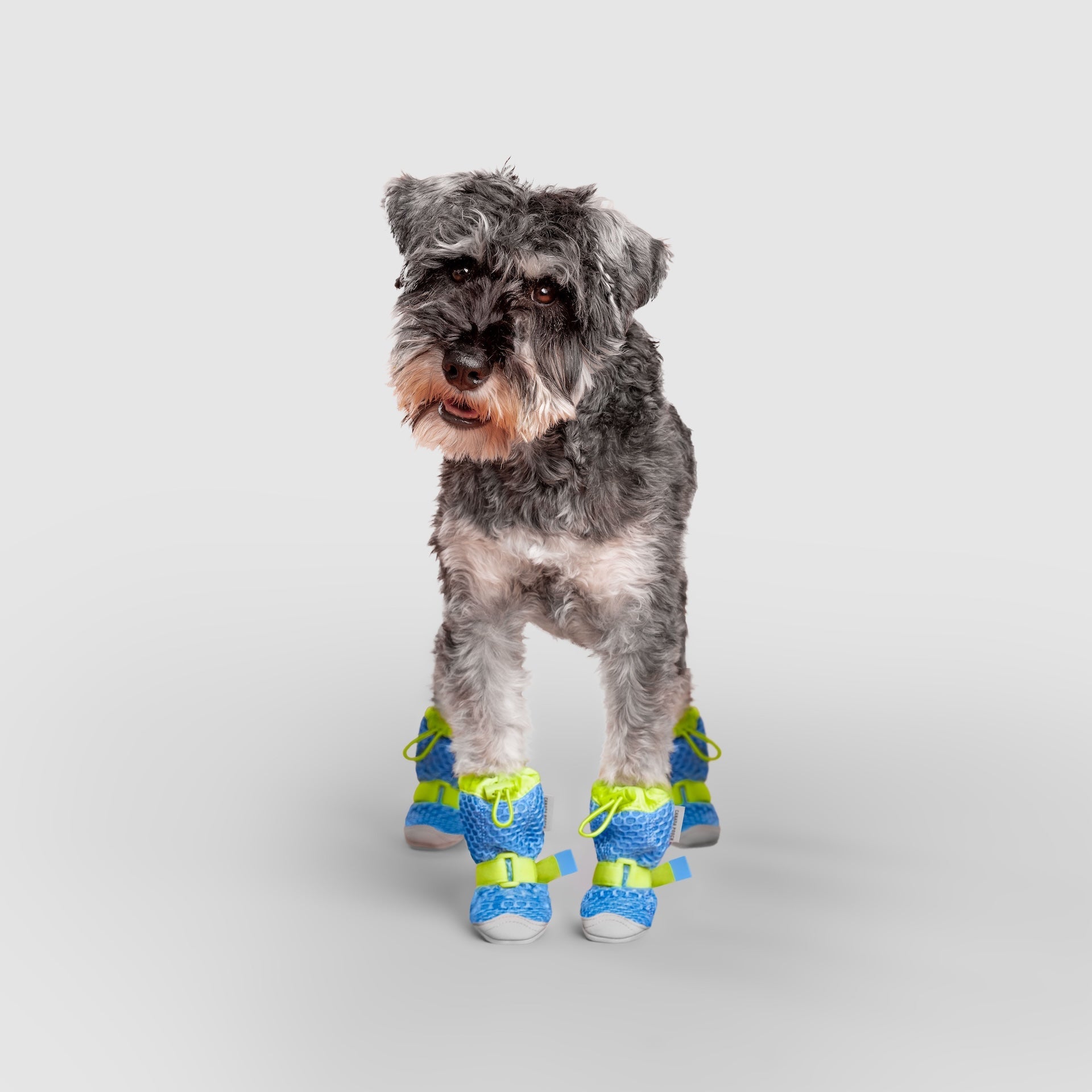 Hot Pavement Boots