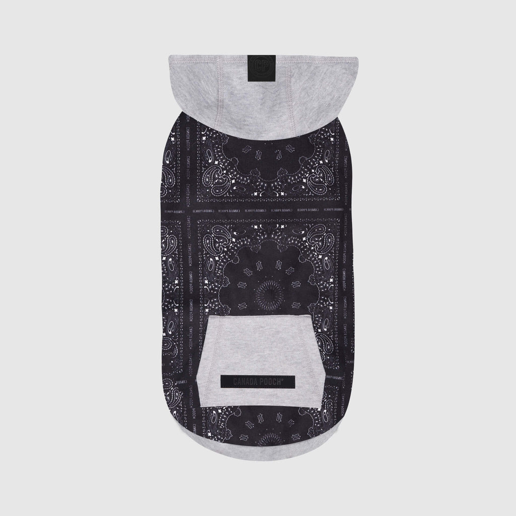 Whatever The Weather Hoodie